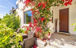177 Frame, Irvine, CA 92618