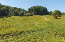 10568 Bottom Creek Road, Bent Mountain, VA 24059