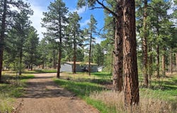 8229 Green Lane, Rye, CO 81069