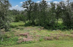 2625 Burke Rd., Flatonia, TX 78941