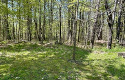 1 Katie Crotch Road, Embden, ME 04958