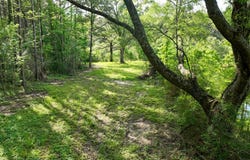 S Bean Road, Magnolia, MS 39652