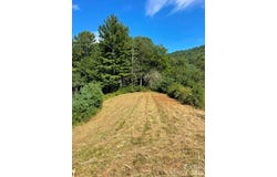 1005 Roberts Branch Road, Marshall, NC 28753
