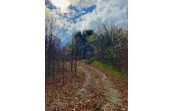 33 Friar Tuck Loop & 284 Turkey Scratch Rd, Spencer, TN 38585