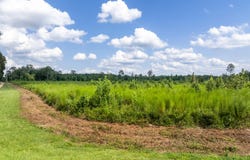 14.7 MOL AC I-45, Shubuta, MS 39360