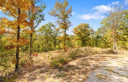 Lot 20 Restore Ridge, Harrison, AR 72601