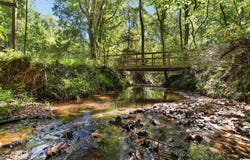 561 DEER TRAIL ROAD, DAVISTON, AL 36256