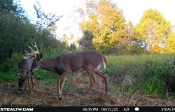 Elk Creek Road, Viola, WI 54664