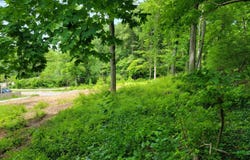 7114 Paddison Road, Anderson Twp, OH 45230