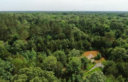 656 Sunset Drive, Coldwater, MS 38618