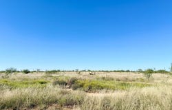 12525 FM 2835, Snyder, TX 79549