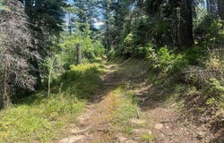 Bartlett Trail, Rye, CO 81069