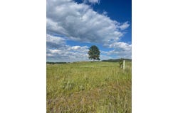Lot 23 Park Avenue, Custer, SD 57730
