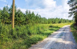 Lot #41 Three Point Rd, Madisonville, TN 37354