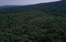 FS RD 795, Bluffton, AR 72827