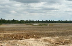 3037 Paul Robinson Road, Donalsonville, GA 39845