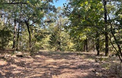 Caney Mountain Trail, Fort Towson, OK 74735