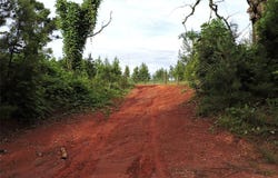 0 Montezuma Road, Greenville, AL 36037