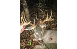 TBD Diamond School Road, Grubville, MO 63041