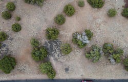 1927 Creekside Circle, Show Low, AZ 85901