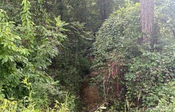 Jackson Road W, Chesterfield, SC 29709
