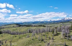 Tbd Nwne DEER HAVEN Road, Bondurant, WY 82922