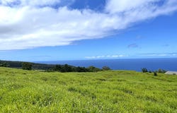 SPENCER RD, Laupahoehoe, HI 96764