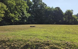 205 Clarke Street, Union City, MI 49094