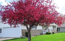 602 E Spruce Ave, Norfolk, NE 68701