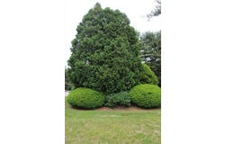 904 Edgebrook Drive, Boylston, MA 01505