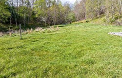 513 Beadwood Ln, Damascus, VA 24236