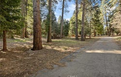 28525 Sycamore Drive, Lake Arrowhead, CA 92385