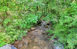 0 Ponderosa Road, Rabun Gap, GA 30568