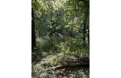 2184 Shadrick Ferry Road, Frankfort, KY 40601