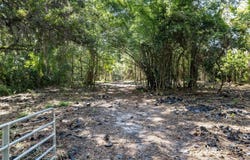 SW ARCHER ROAD, GAINESVILLE, FL 32608