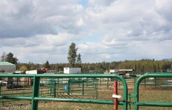 6493 E Trinity Ln, Athol, ID 83801