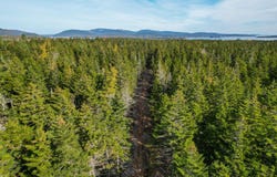 Seawall Map/Lot 17/11-04, Southwest Harbor, ME 04679