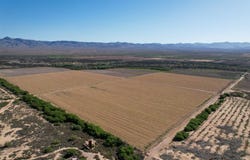 Ashurst Area, Fort Thomas, AZ 85536