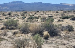 5590 Kafal Street, Silver Springs, NV 89429