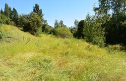 2356 NORTHPORT FLAT CREEK RD, KETTLE FALLS, WA 99141