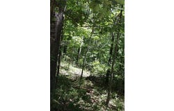 Lot 11, Block 2 Kettering  LN, Bella Vista, AR 72714