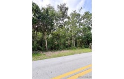1423 NW 19th Street, Crystal River, FL 34428