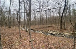 Lot 77 Mustang Drive, Clinton, AR 72031