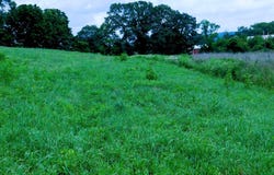 0 N RT 35, MC ALISTERVILLE, PA 17049