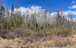 ON POCIASK RD, Butternut, WI 54514