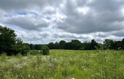 0 Newark Road, Solsberry, IN 47459