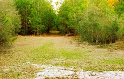 Tract 4 Festival Trail, Salley, SC 29137
