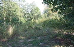 0 County Road 750, Centerville, MO 63633