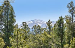 738 Rangeview Road, Divide, CO 80814