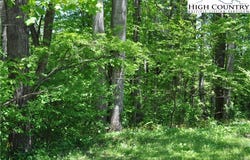 Sampson Road, Lenoir, NC 28645